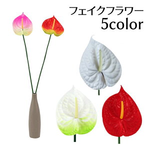   tFCNt[ 1{ AXE  CeAG t[AWg lH ͂Ȃ i`   DIY   i Y   sN  IW