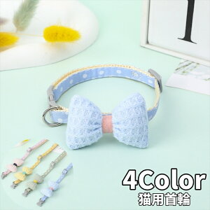  Lp ˂p ybgpi `[J[ Z[teB[obN lN^C {  hbg  킢 ߂ lR L[g Mtg v[g