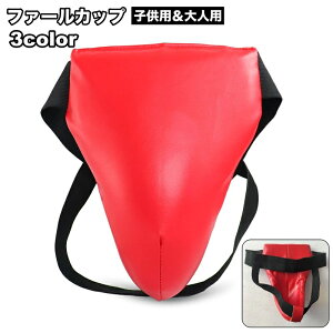  t@[Jbv X|[cPApi t@EJbv IT|[^[ IK[h h }ی iZ 蓹 LbN{NVO 싅 Or[ zbP[