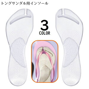  C\[ ~ fB[X Y gOT_p A[`T|[g VR QNbV ~ Ռz y܂ r[`T_p