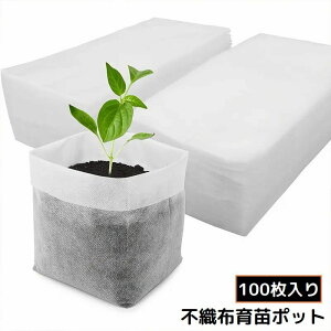  c|bg 100 sDz|bg sDzv^[ |v^[ ZgC 琬obO Zpi A A͔| _