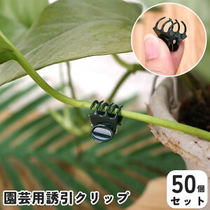  |Nbv UNbv 50Zbg |p  oh x  s ږ ^b` ƒ؉ K[fjO AT|[g oXNbv^  ~j ֗