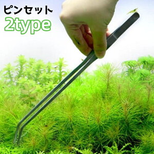  sZbg  a  ANAE O Xg[g n[oE  ybgObY | 