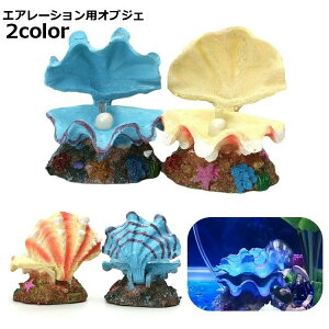  GA[VpIuWF GA[VI[ig ANAEpi pi GA[Vp GA[|vp _f|vp IuWF  CeA ybgpi ybg