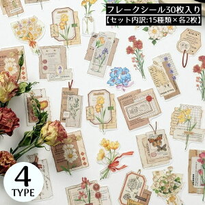  t[NV[ XebJ[ 30Zbg R[Wf  蒠fR Ao L J_[ v[g Mtg g