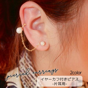  X^bhsAX fB[X p ANZT[ Ўp 1 C[Jtt h Vo[J[ S[hJ[ tFCNp[ `F[ Vv   i GK