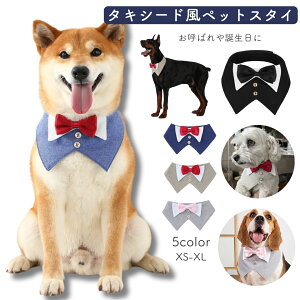 送料無料 ペット用スタイ よだれかけ 付け襟 蝶ネクタイ ペット用アクセサリー 犬 イヌ 猫 ネコ 面ファスナー 結婚式 お呼ばれ パーティー 正装 誕生日 おめかし マジック テープ キュート