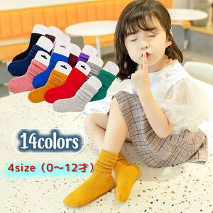  N[\bNX LbY xr[qp Ԃ C  j̎q ̎q j  PF n キ u\bNX Vv  킢 fC[ ʉ ʊw J