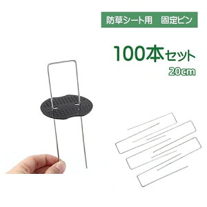  핢މ Œs 100{Zbg ŝ hV[gp R^ U^s Gh~ V[g Ő  lH DIY 20cm K[fjO _Ǝ | ƒ؉ Ԓd G΍ B 