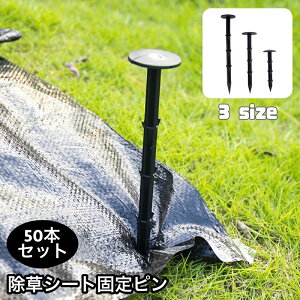  V[gŒs 50{Zbg hV[gp Œp ɂ s K[fjO ƒ؉  _ _Ɨp _Ǝ 11cm 16cm 20cm