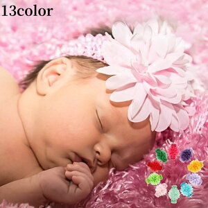  wAoh wbhoh xr[ Ԃ q wAANZT[ wbhhX VtH  t[ wAAW 킢