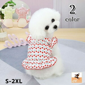  ybgEFA hbOEFA ybgpi  L s[X XJ[g t `F[ TN{  킢 o U