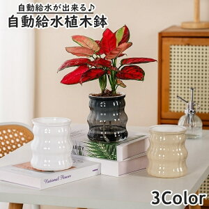  Aؔ t[|bg k͔|  ȒP v^[ ϗtA A t[X^h | K[fjOpi  Vv  