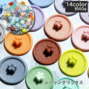  V[ObNX X 40g [ Ԍ^ t[   F u[ sN CG[ ubN u[ uE g AeB[N Jt C{[  L[