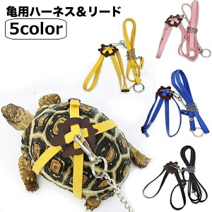  Tpn[lX [h 2_Zbg ybgpi [V [v Ђ U o TCY\ J  ঒ 