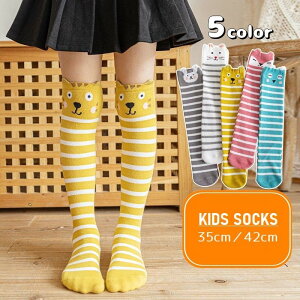  C j[nC\bNX LbY qp ̎q  ƂȂ j[nC G O {[_[ Aj}    q ǂp Oo o| ʉ ʊw