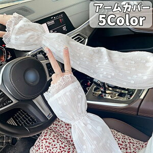  A[Jo[ UVJbg fB[X VA[  V[X[[X  Ă΍ O΍ UV΍  Oo o| hCu t@bV n Vv 