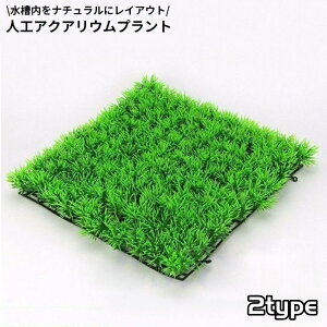  p lH lHŐ vX`bN I[ig ANAEvg O[OX lHϗtA i  