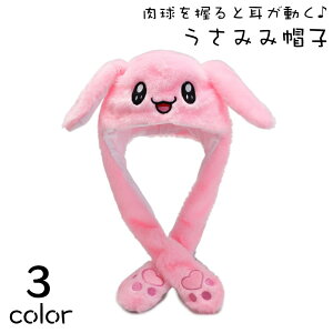  Xq ڂ ETM   fB[X  lp RXv  h g  ӂӂ  n т  t@bV