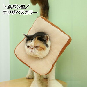  GUxXJ[ Lp p Hp^ g[Xg ybgpi ybgObY PApi rߖh~ Ђh~ ی p  畆a 킢 Lbg hbO  ^ lR 