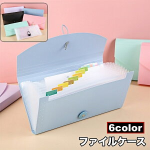  t@CP[X hLgt@C 13|Pbg ރP[X ֕ Wo vg ^ NA|Pbg ΂ [ piG