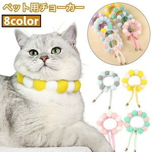  ybgp`[J[ p Lp  ANZT[ ||t pXeJ[ TCY\ 킢 