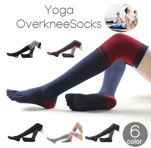  K\bNX X|[c\bNX 5{w ?nC\bNX I[o[j[ C ~ fB[X   bOEFA K seBX _X W Xgb` PF n V