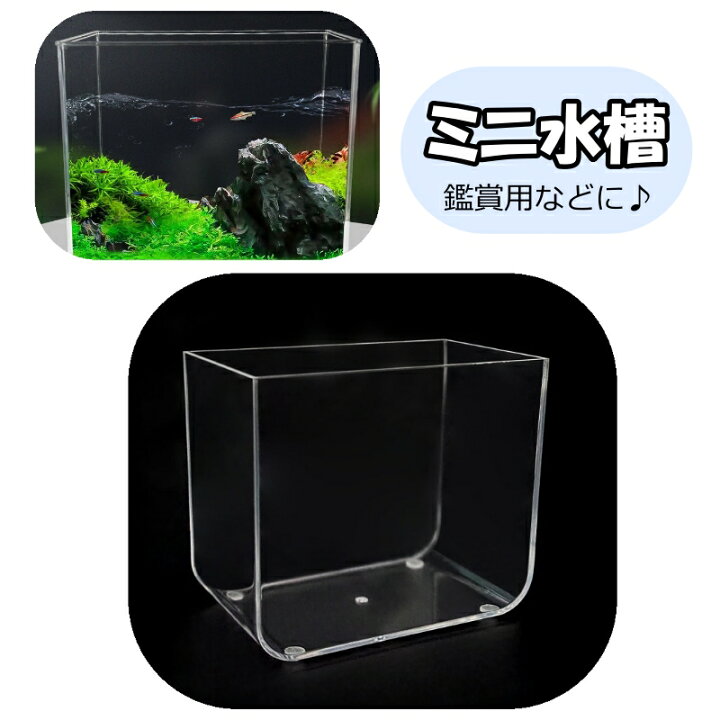 楽天市場】送料無料 ミニ水槽 小型 小さめ 水槽 プラスチック水槽 