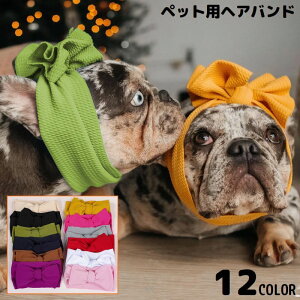  ybgpwAoh wbhoh  Ck ybgpi wAANZT[ { 傫 L Ch n  킢