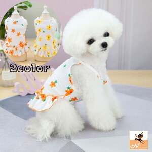  hbOEFA s[X  m ybgEFA ybgpi p Lp ^   t[ L~\[ Ȃ t K[[  ybgObY  Ck 