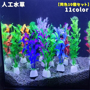  Mыp lH F10{Zbg A  ANAE  CAEgpi tFCN Mы C IuWF   Ϗ܋