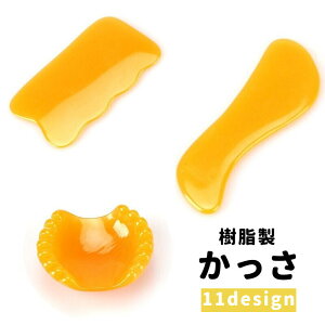   c{_ 􂦂 ܂ c{   w̑p  C ՗  ZtPA