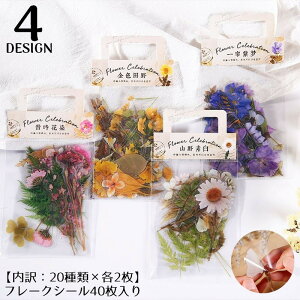  t[NV[ XebJ[ 40Zbg R[W  A 蒠fR Ao L J_[ v[g Mtg g