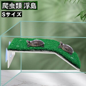   ঒ p zՎt  J gJQ ȂڂeX VF^[ B ANAE T xe n bNX