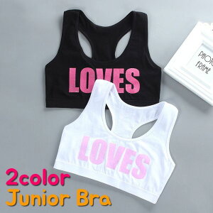  WjAu n[tgbvu uW[ WjA LbY ̎q Ci[  qp t@[Xgu S Vv   q ǂp w w wN