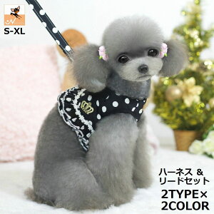  n[lX [h Zbg ybgpi ^ ^ L U  [X t tA hbg bV ʋC  xXg  [v UR [V Ђ 