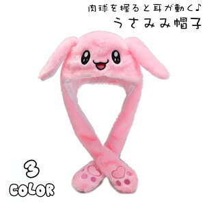  Xq ڂ ETM   fB[X  lp RXv  h g  ӂӂ  n т  t@bV