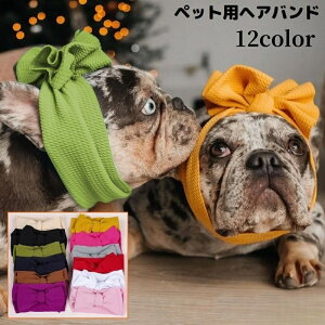  ybgpwAoh wbhoh  Ck ybgpi wAANZT[ { 傫 L Ch n  킢