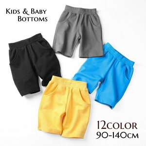  V[gpc Zp q LbY xr[ j̎q ̎q EFXgS n PF Vv |Pbg JWA   fC[ ig ʉ ʊw j  {