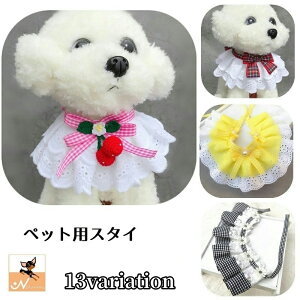  ybgpX^C 悾ꂩ Eh^ ybgpi ObY LObY t [X { MK`FbN TN{ t[`[t 360°  킢 o 