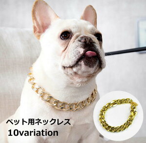  `F[lbNX ybgp p Lp ^ ANZT[ `[J[   Ch Ck  lR ˂