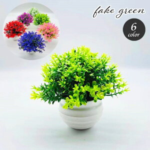   tFCNO[ A ϗtA  u  t [t A N₩ CeA ~j|bg  킢 rO  Q Vbv X