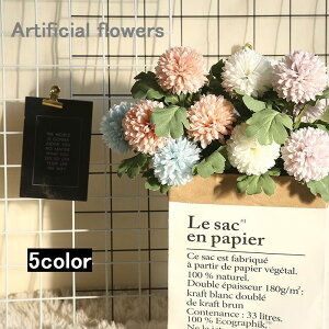   tFCNt[ ꑩ 2{ Pi t[AWg ԑ  CeAG t[  Vv