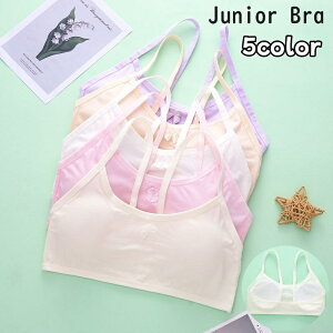  WjAu t@[Xgu uW[ n[tgbvu pbht WjA LbY w w ̎q Ci[   pbht n pXeJ[ 킢