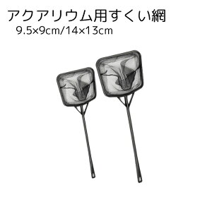  Ϗ܋p  ANAEpi lp` ubN ׂ eiX | Mы 