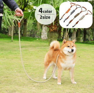  [h ˍ p ybgpi R UR  [V 1.5m iXJ ȒP ₷   ybgObY o| Ckp