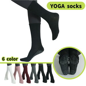  K\bNX C fB[X   N[ ~ Vv  n ׂɂ X|[c g[jO