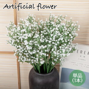   tFCNt[ 1{ hE_ccW  CeAG t[AWg lH ͂Ȃ i`   DIY   i Y 