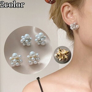  sAX X^bhsAX fB[X ANZT[ i v[g tFCNp[ CXg[ rW[ 嗱 傫 Ε ꂢ   ig fC[ o