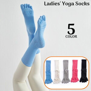  K\bNX 5{w fB[X C ~ N[ tBbglX W seBX ʋC z hL Lk Xgb`